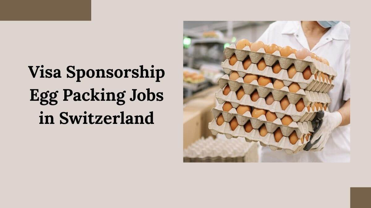 Visa Sponsorship Egg Packing Jobs in Switzerland