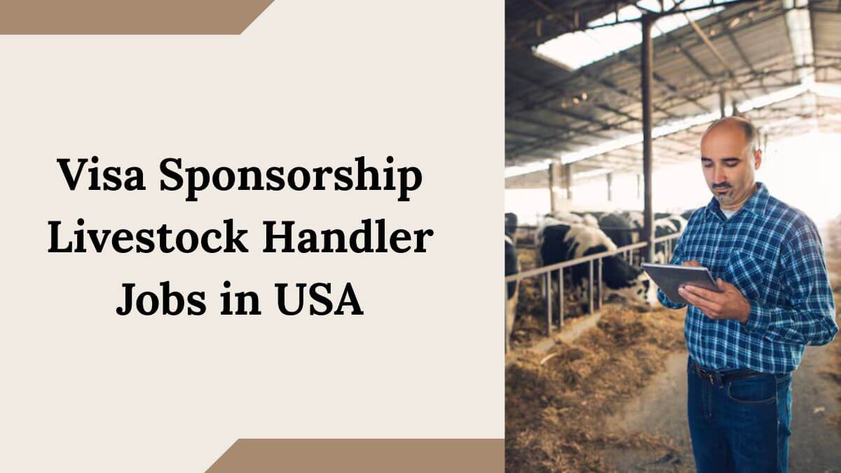 Visa Sponsorship Livestock Handler Jobs in USA