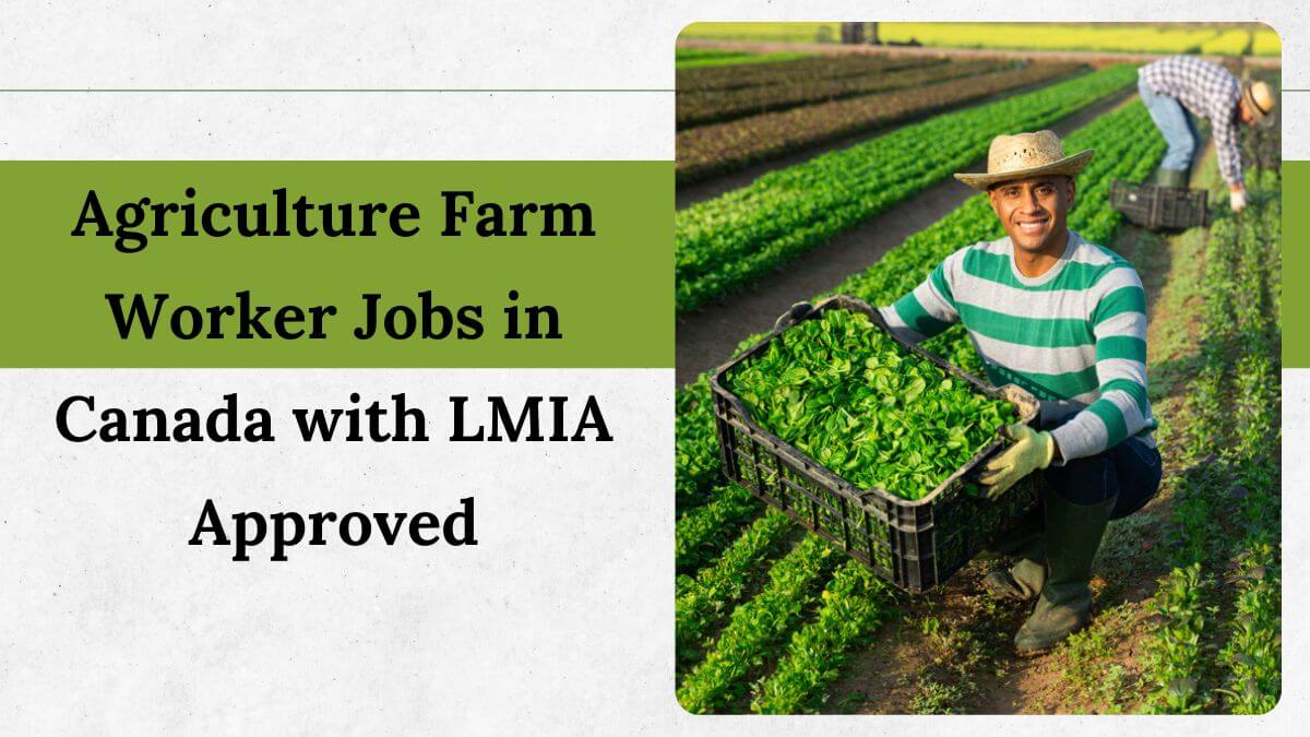 Agriculture Farm Worker Jobs in Canada with LMIA Approved