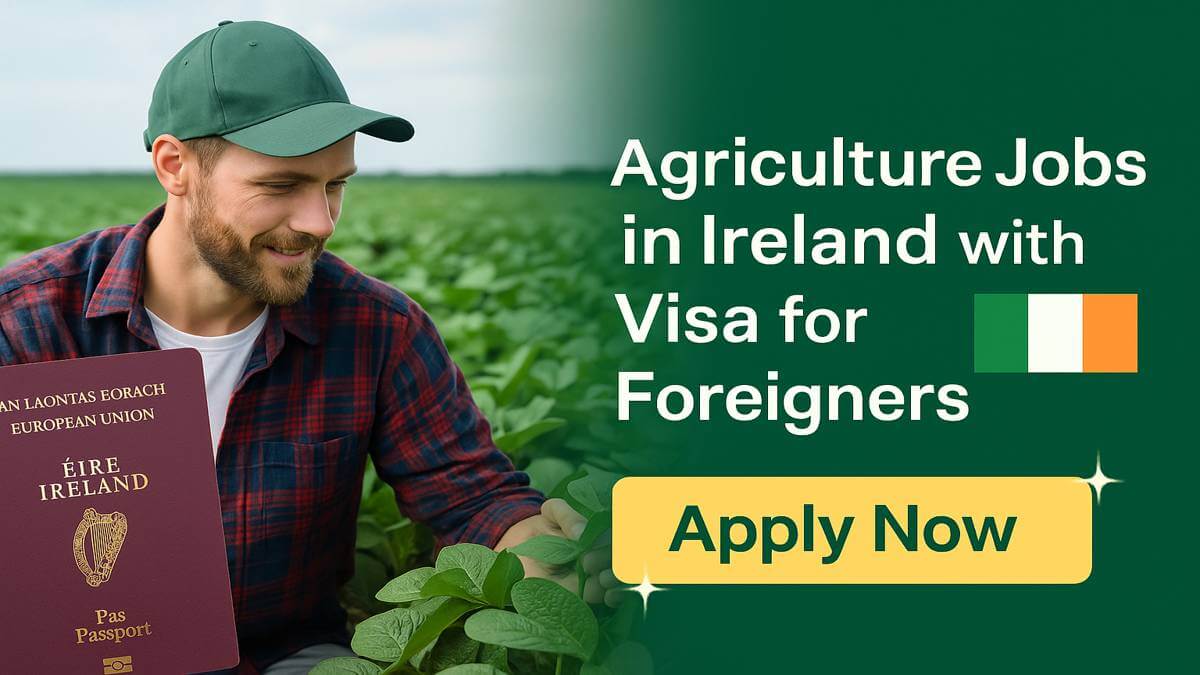 Agriculture Jobs in Ireland with Visa for Foreigners