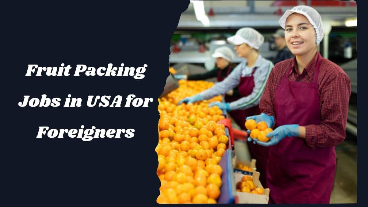 Fruit Packing Jobs in USA for Foreigners