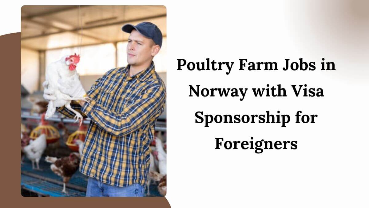 Poultry Farm Jobs in Norway with Visa Sponsorship for Foreigners