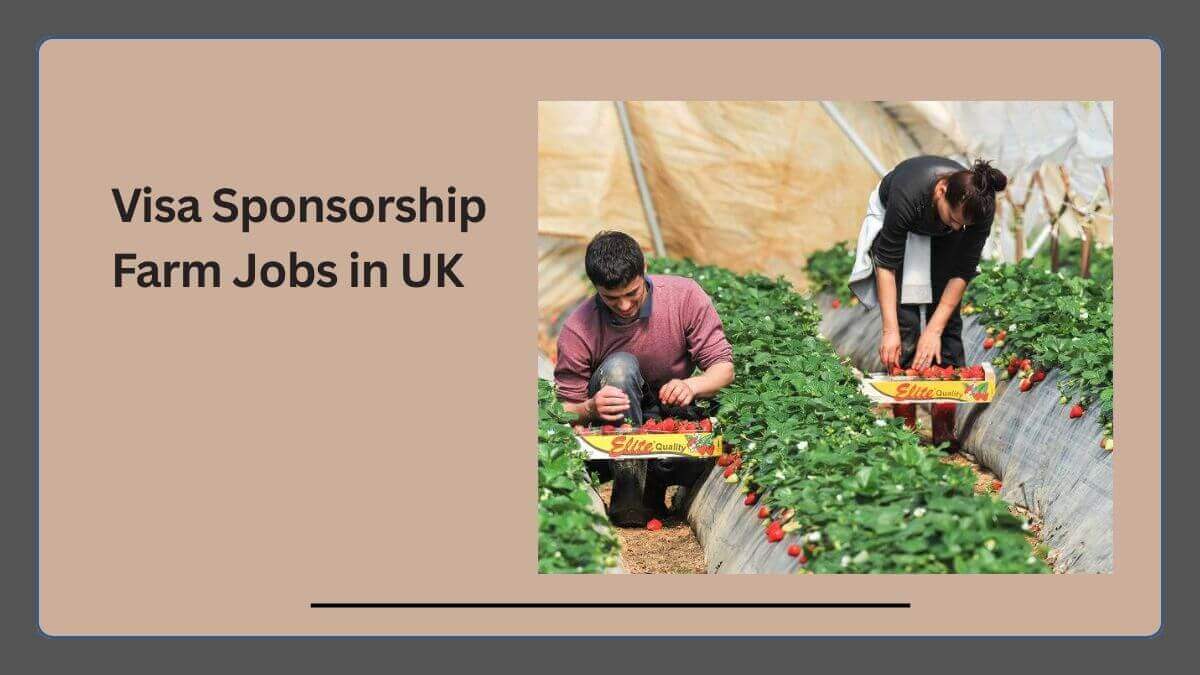 Visa Sponsorship Farm Jobs in UK