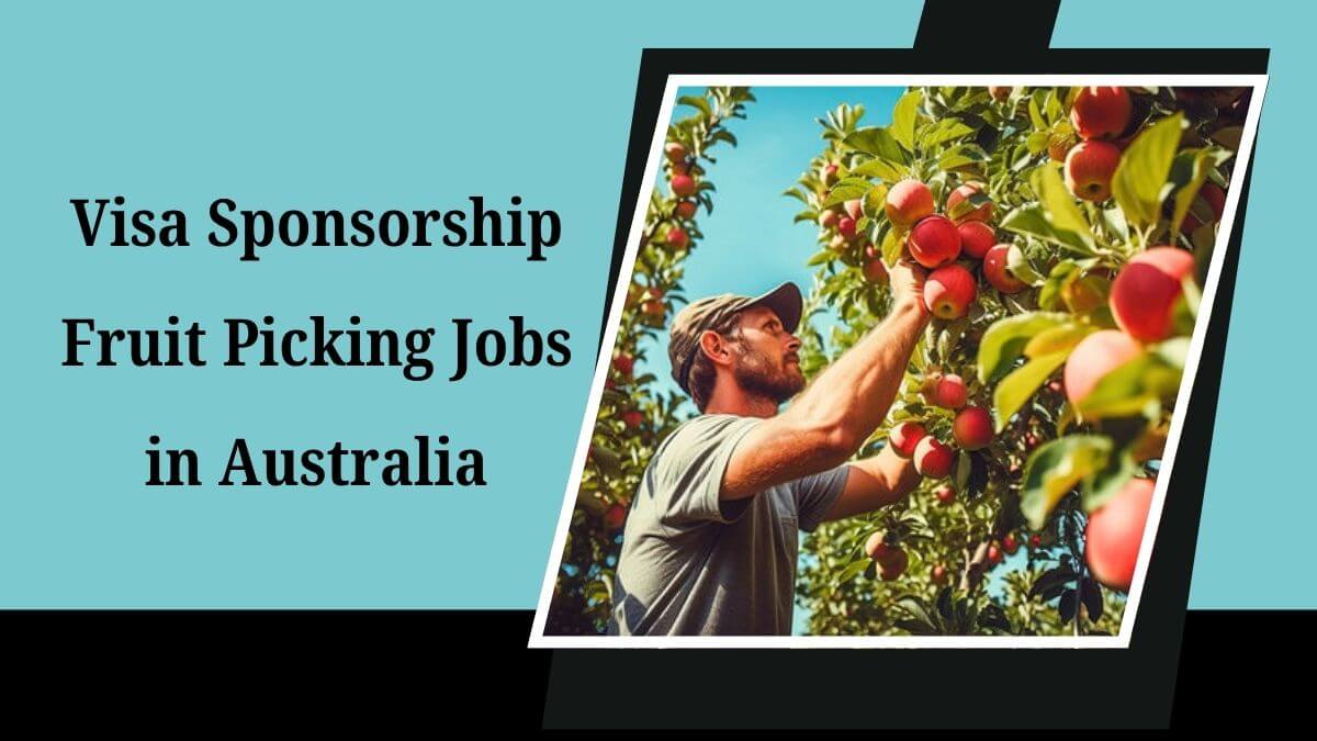 Visa Sponsorship Fruit Picking Jobs in Australia