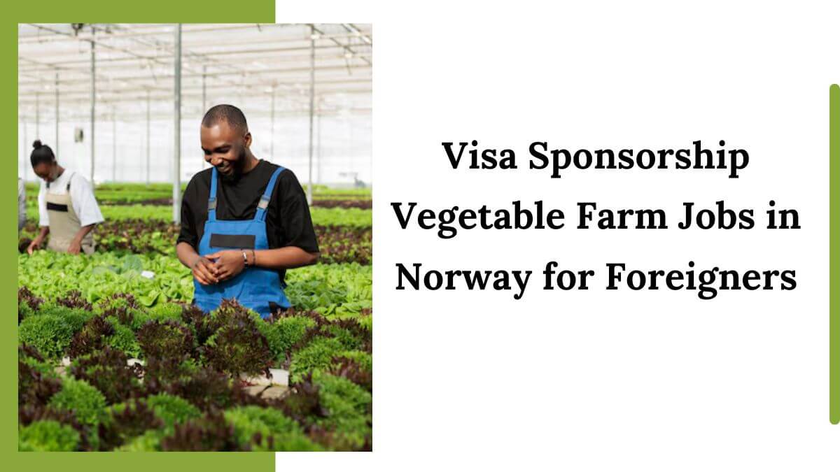 Visa Sponsorship Vegetable Farm Jobs in Norway for Foreigners
