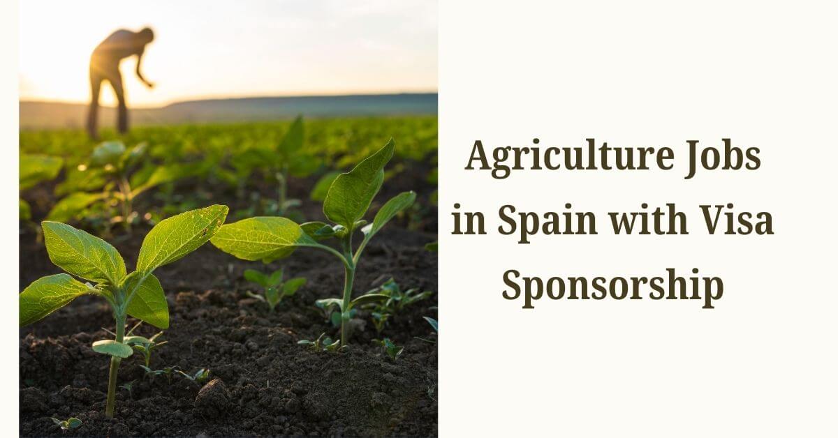 Agriculture Jobs in Spain with Visa Sponsorship