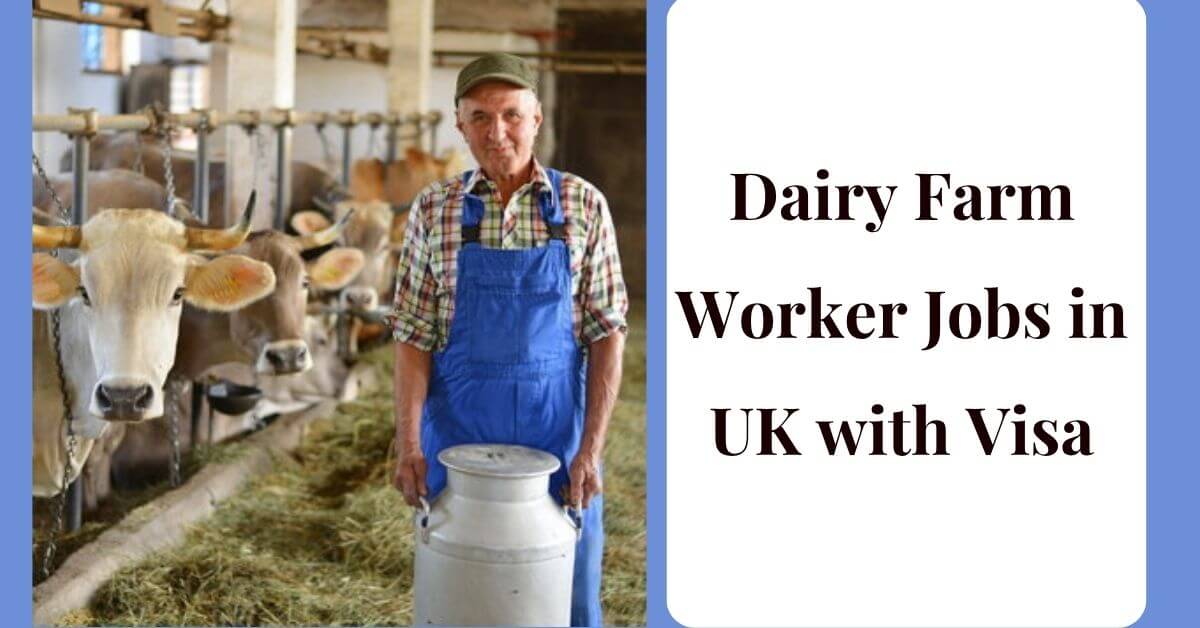 Dairy Farm Worker Jobs in UK with Visa