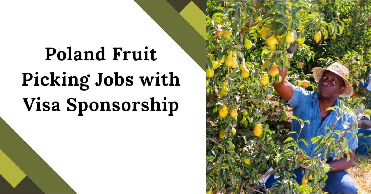 Poland Fruit Picking Jobs with Visa Sponsorship