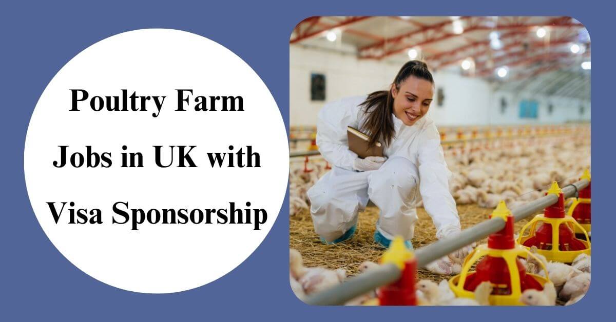 Poultry Farm Jobs in UK with Visa Sponsorship