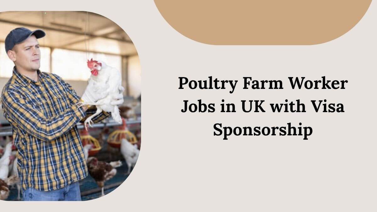 Poultry Farm Worker Jobs in UK with Visa Sponsorship
