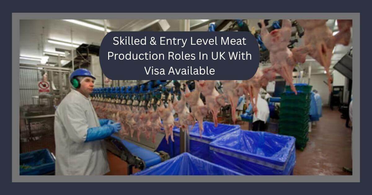Skilled & Entry Level Meat Production Roles In UK With Visa Available