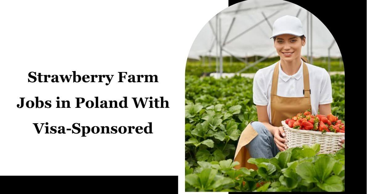 Strawberry Farm Jobs in Poland With Visa-Sponsored