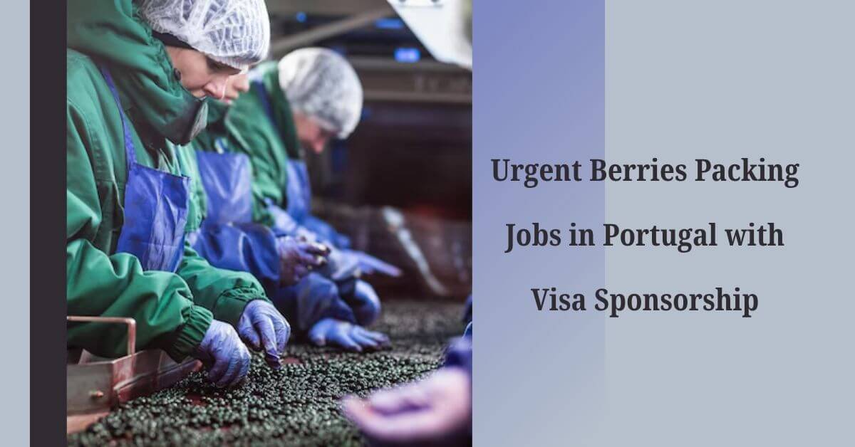 Urgent Berries Packing Jobs in Portugal with Visa Sponsorship
