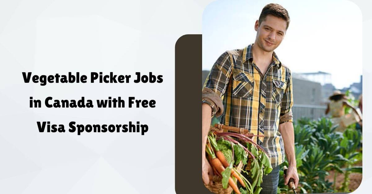 Vegetable Picker Jobs in Canada with Free Visa Sponsorship
