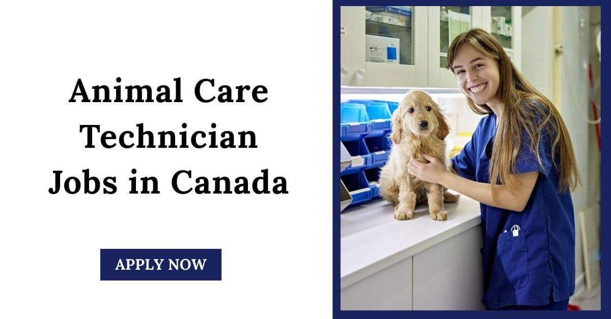 Animal Care Technician Jobs in Canada