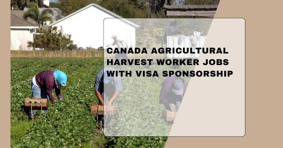 Canada Agricultural Harvest Worker Jobs with Visa Sponsorship
