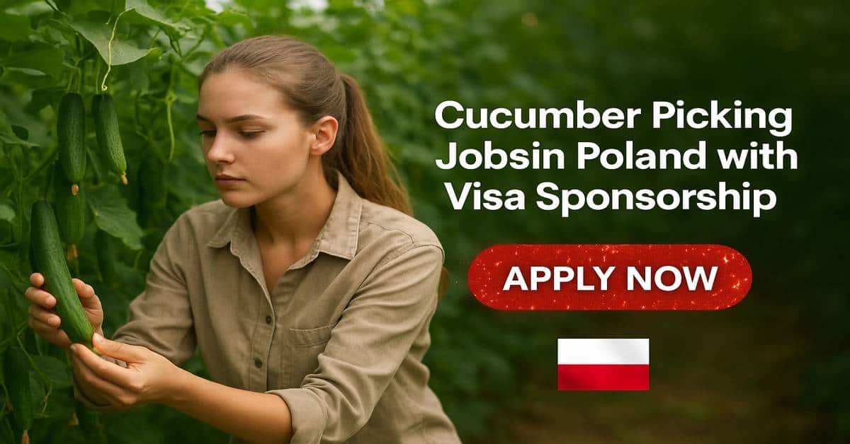 Cucumber Picking Jobs in Poland with Visa Sponsorship