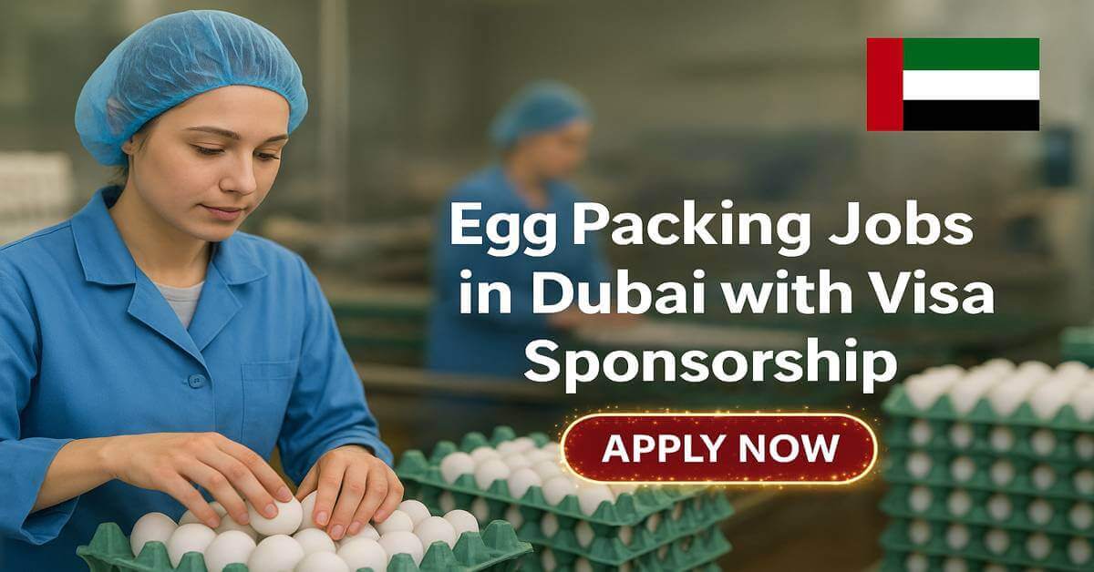 Egg Packing Jobs in Dubai with Visa Sponsorship