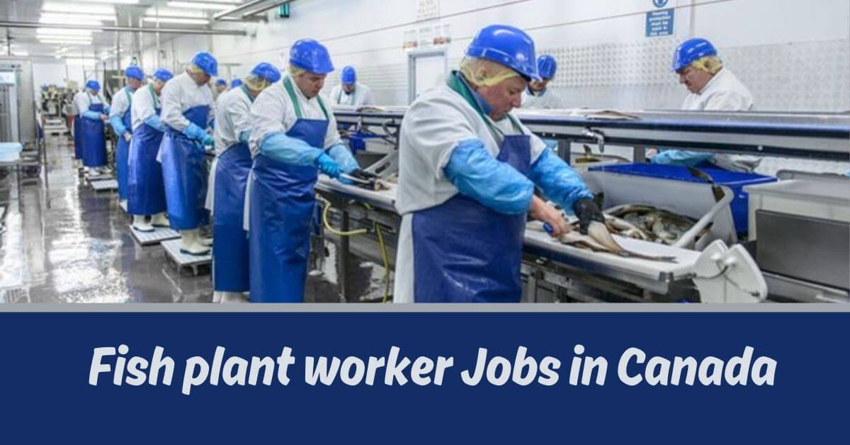 Fish plant worker Jobs in Canada