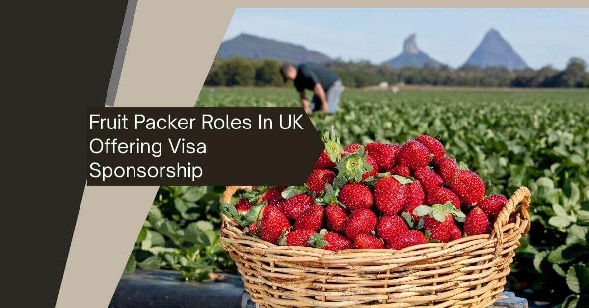 Fruit Packer Roles In UK Offering Visa Sponsorship