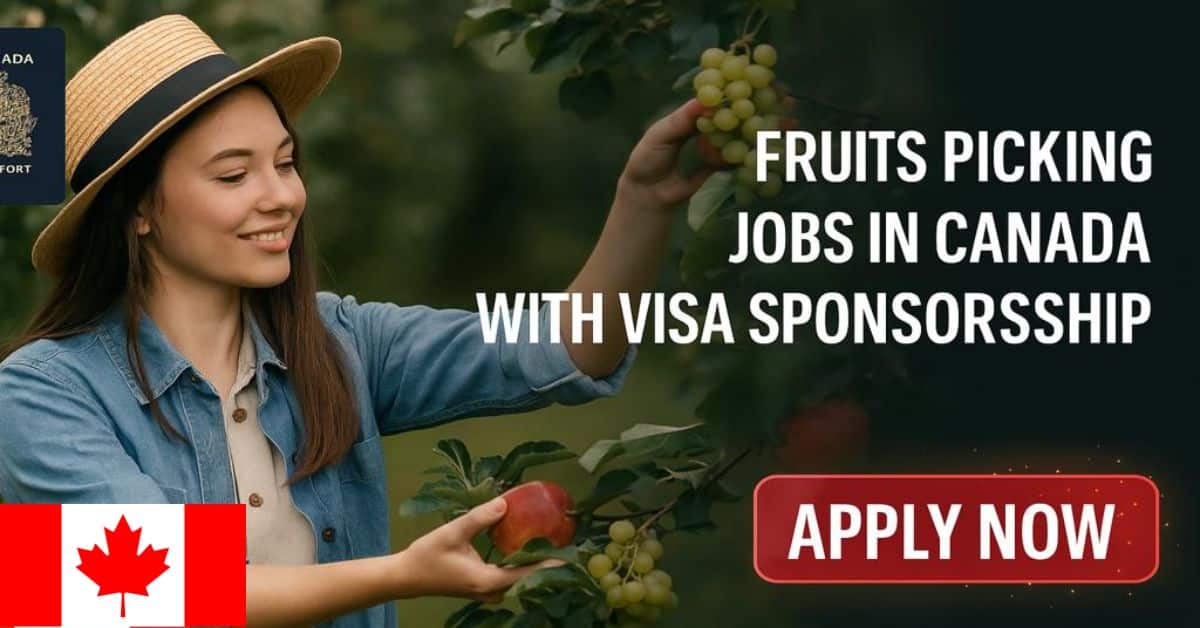 Fruits Picking Jobs in Canada with Visa Sponsorship