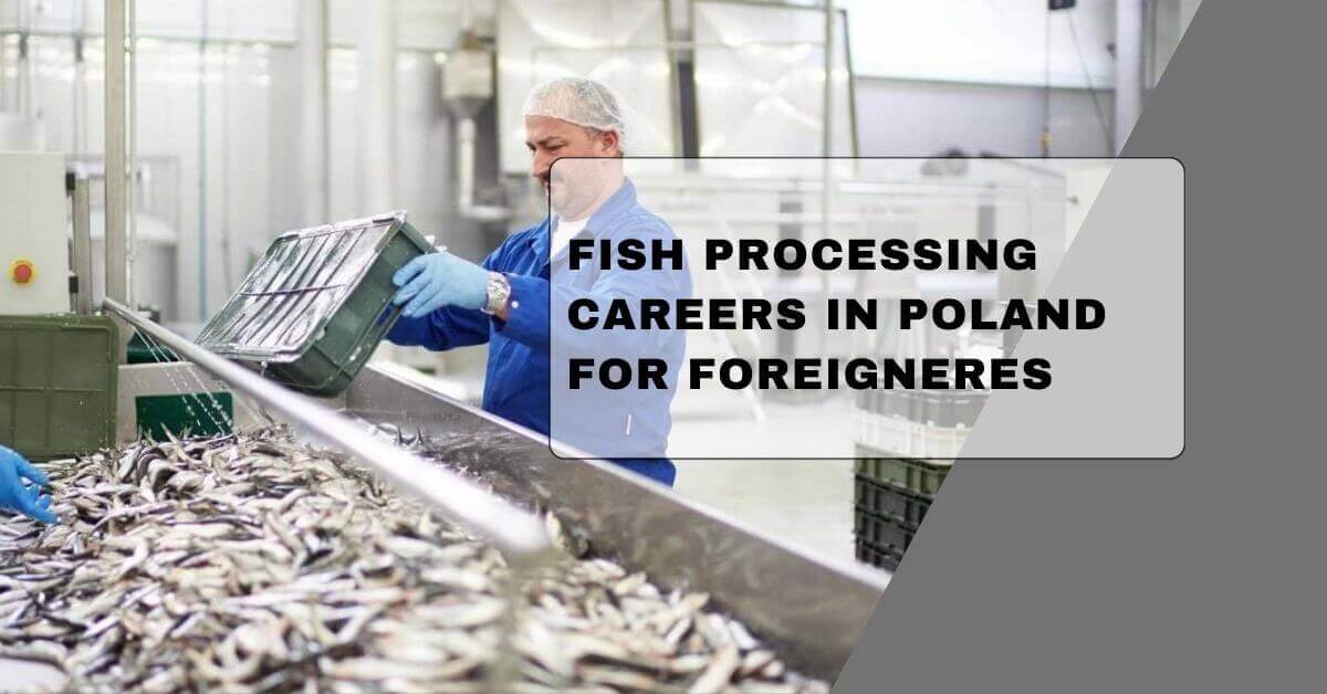 Fish Processing Careers In Poland For Foreigneres