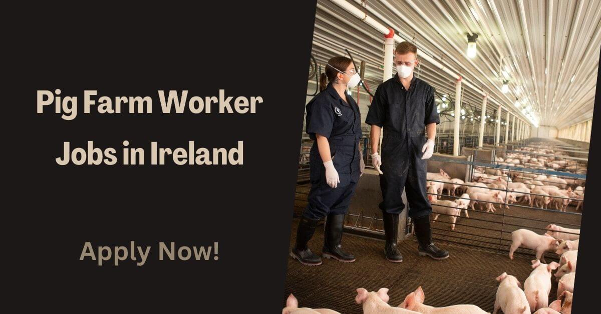 Pig Farm Worker Jobs in Ireland