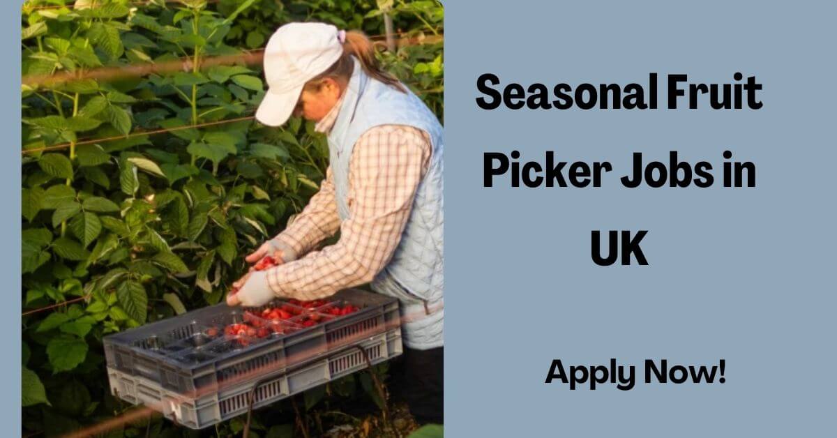 Seasonal Fruit Picker Jobs in UK
