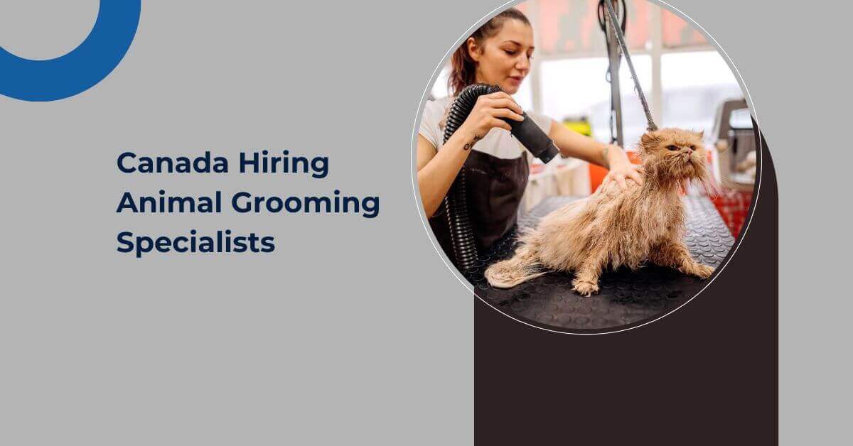 Canada Hiring Animal Grooming Specialists