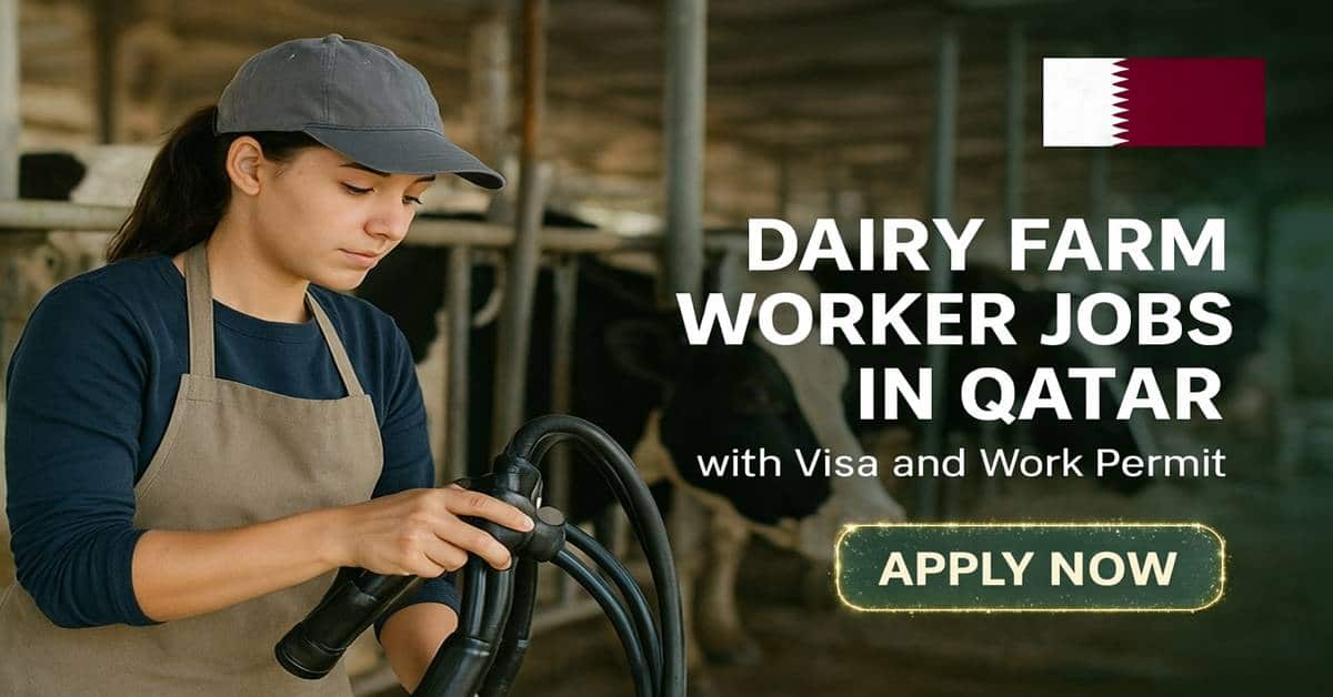 Dairy Farm Worker Jobs in Qatar with Visa and Work Permit