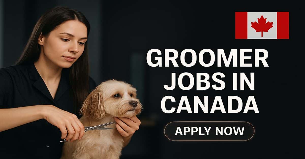 Groomer Jobs in Canada