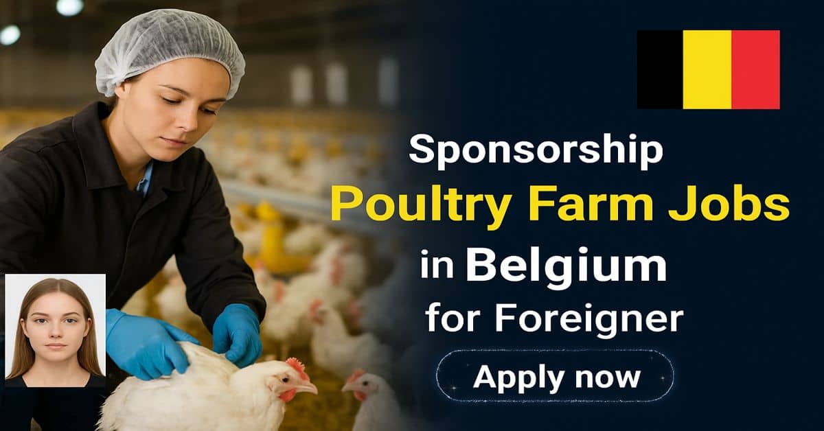 Sponsorship Poultry Farm Jobs in Belgium for Foreigner