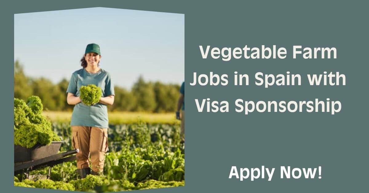 Vegetable Farm Jobs in Spain with Visa Sponsorship