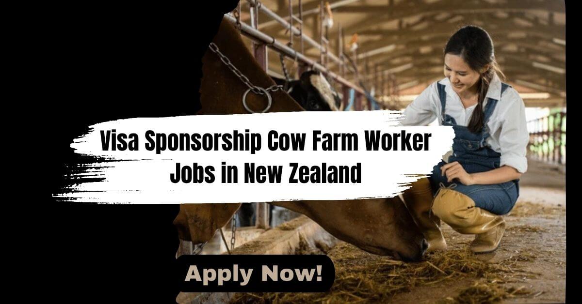 Visa Sponsorship Cow Farm Worker Jobs in New Zealand